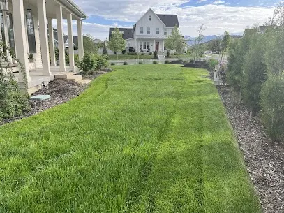 Just-mowed lawn with clean stripes running to the back fence and mulched beds
