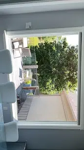 Interior window cleaned to clear glass, looking out onto a tree and balcony