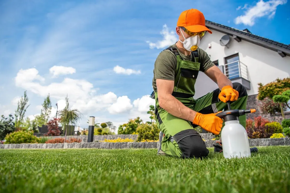 Technician kneeling on a lawn treating weeds beside a home